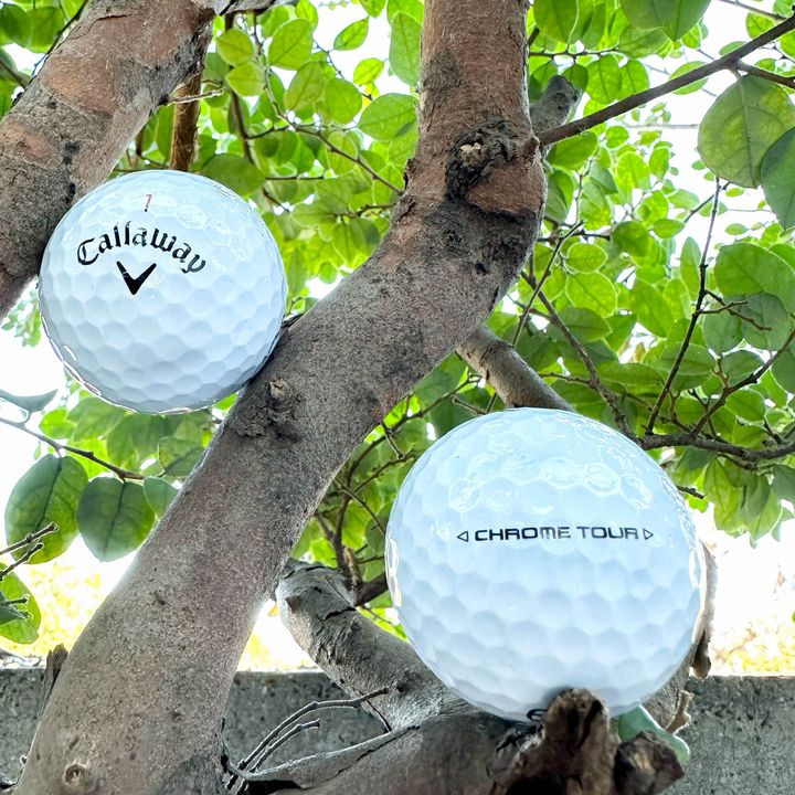 シャウフェレ使用ボールは、いつもの朝イチよりも飛んだ気がした！【試してみた！】