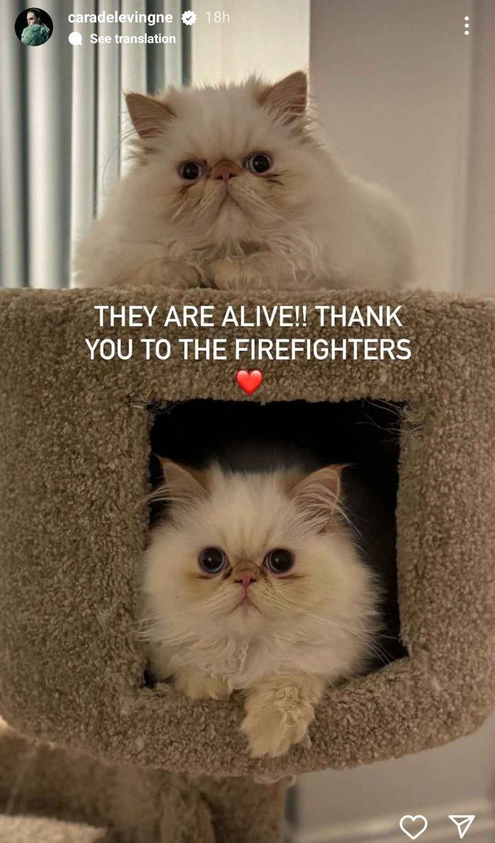 画像5: カーラ・デルヴィーニュの約10億円の自宅が火事