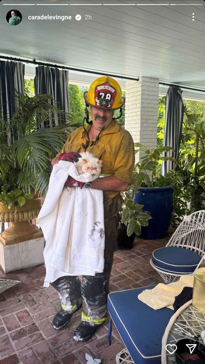 画像4: カーラ・デルヴィーニュの約10億円の自宅が火事