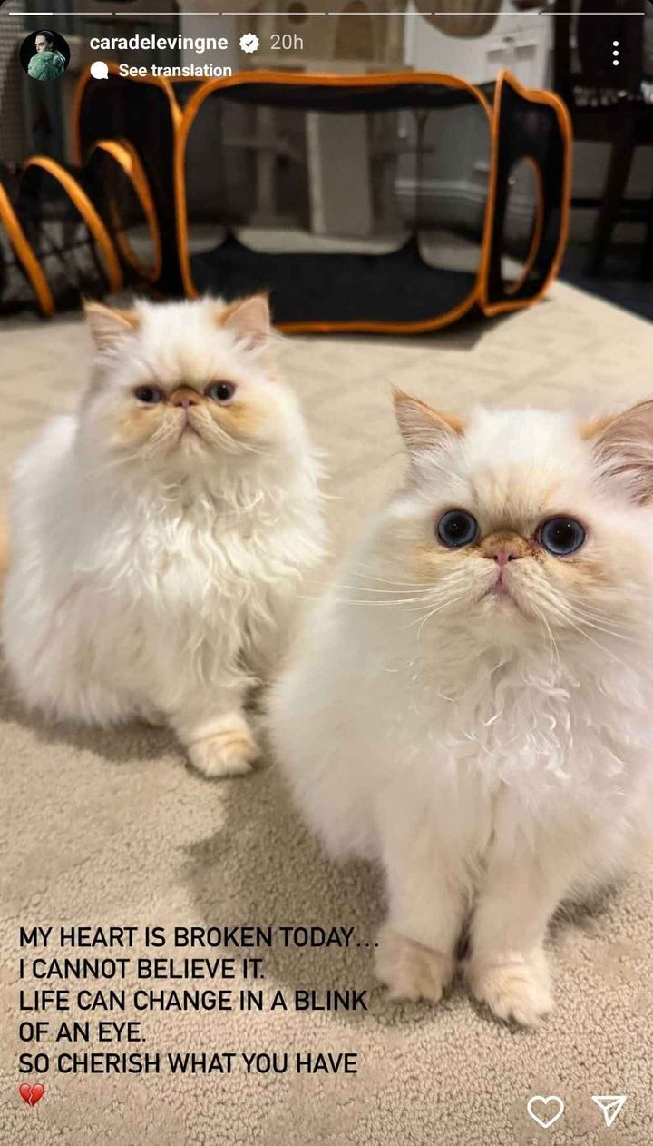 画像3: カーラ・デルヴィーニュの約10億円の自宅が火事