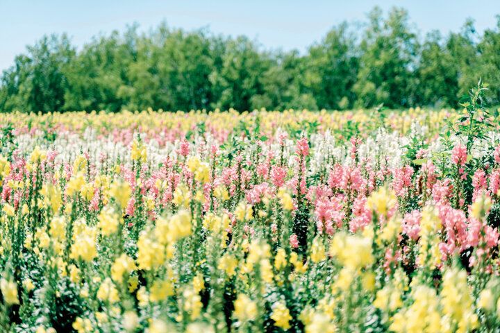 【2024年春 イヴルルド遙華の12星座占い】～宇宙元旦で幸運のビックウェーブを引き寄せるには？～