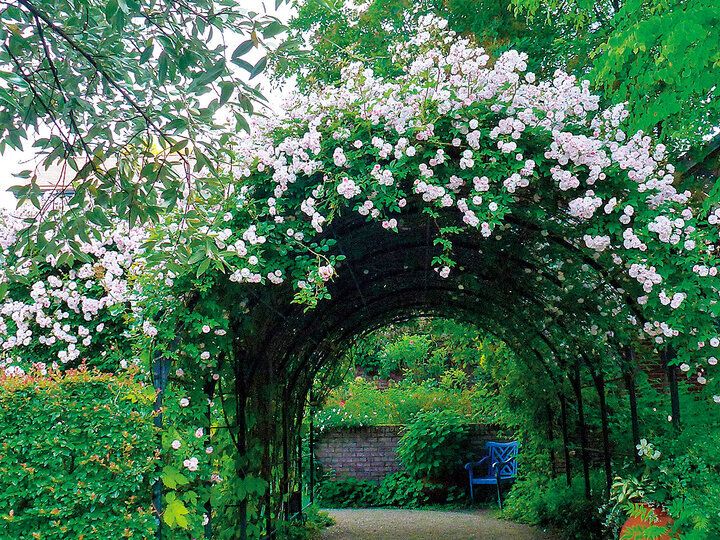 【2024年春 イヴルルド遙華の12星座占い】～宇宙元旦で幸運のビックウェーブを引き寄せるには？～