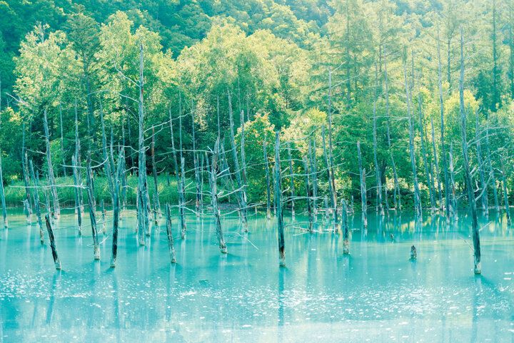 【2024年春 イヴルルド遙華の12星座占い】～宇宙元旦で幸運のビックウェーブを引き寄せるには？～