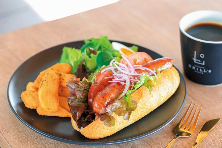 京都よりみちこみち 上賀茂神社〜半木の道【前編】