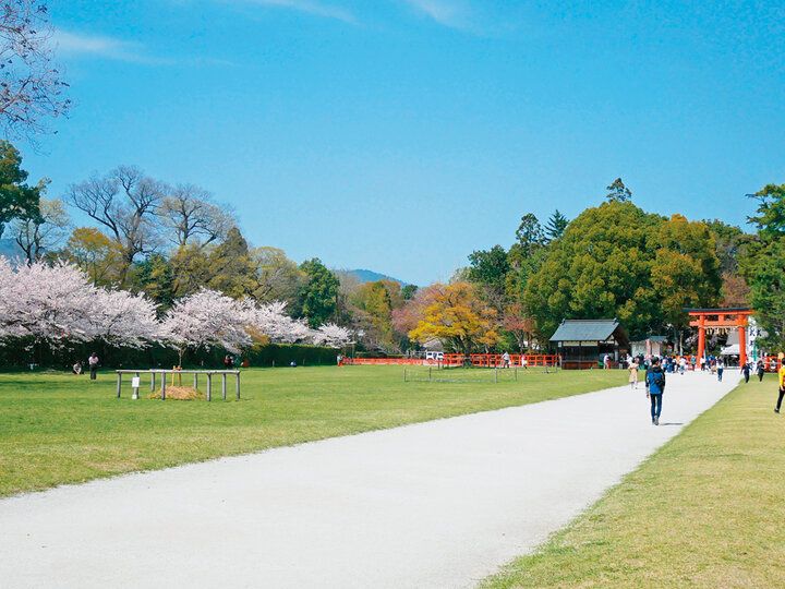 京都よりみちこみち 上賀茂神社〜半木の道【前編】