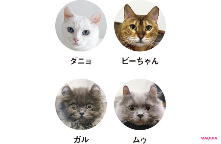 鈴木えみさんが猫に変身!? あふれる猫愛、猫ファーストなプライベートを語ります_2