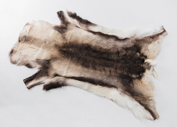 上級キャンパーが厳選！冬キャンプで大活躍してくれるキャンプギア【人気記事】