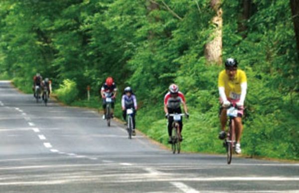 自然あふれる鳥取県大山エリアに登場！モンベル 大山キャンプサイト【4/12（金）オープン！】