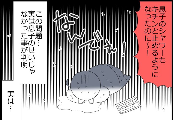この問題…、実は息子のせいじゃなかったことが判明。