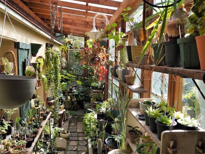 桜のトンネルが続く春の鎌倉山さんぽで立ち寄りたい♪とっておきのカフェとショップ6選