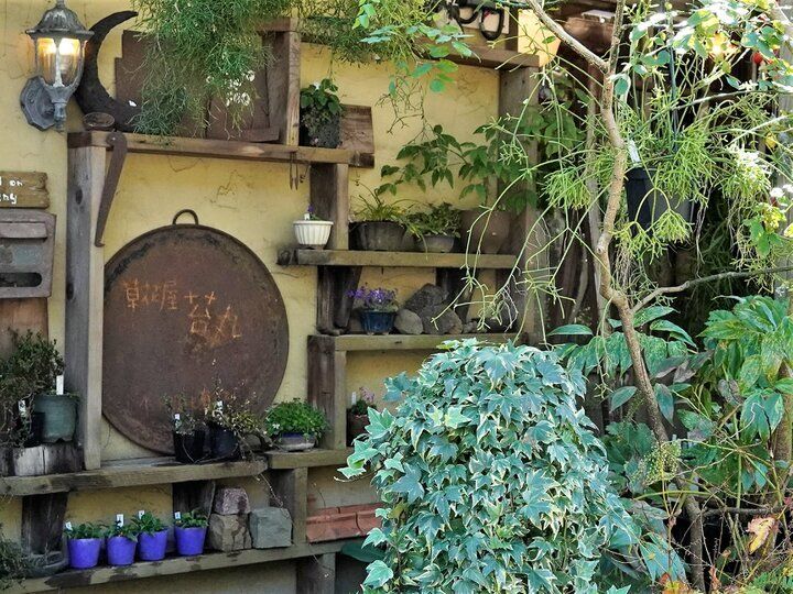 桜のトンネルが続く春の鎌倉山さんぽで立ち寄りたい♪とっておきのカフェとショップ6選