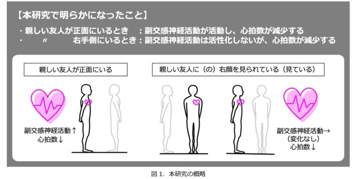 本研究で分かったことのまとめ
