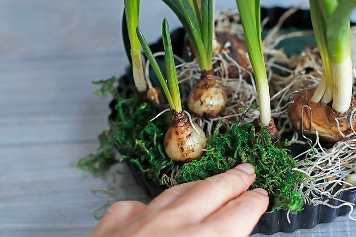 イースターのアレンジ