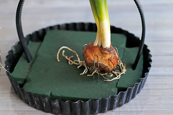 イースターのアレンジ