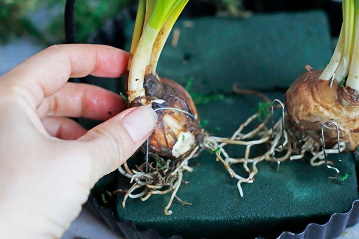 イースターのアレンジ