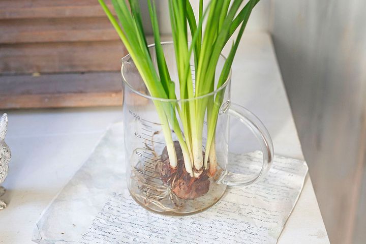 スイセンのアレンジ