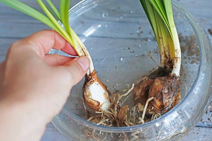 イースターのアレンジ