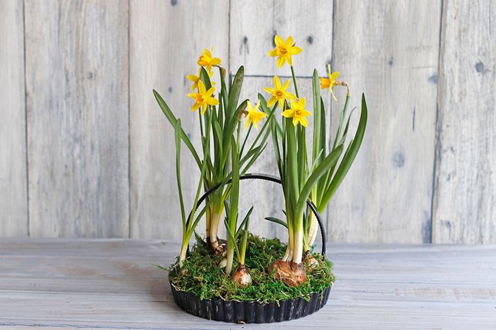 イースターのアレンジ