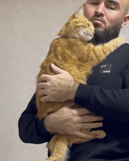 猫の甘え方が最高に可愛い！ 抱っこのおねだり♡