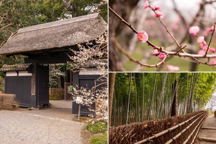 庭園を眺めて和のアフタヌーンティーを♪日本三名園・水戸の「偕楽園」で過ごす贅沢なひととき
