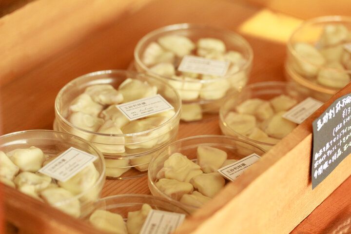 二子玉川の隣町で見つけた、レトロモダンな菓子屋「シェルシューズ」で静かなお茶時間