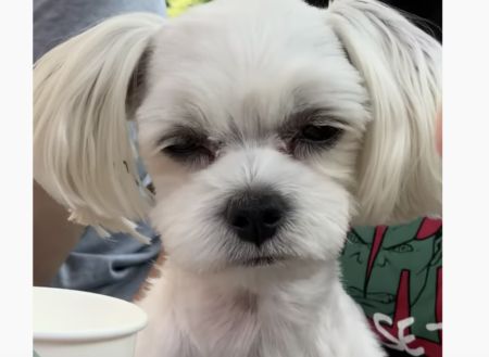 犬「ひと口くれたっていいのに ケチ！ 怒」睨みつける表情が最高♪