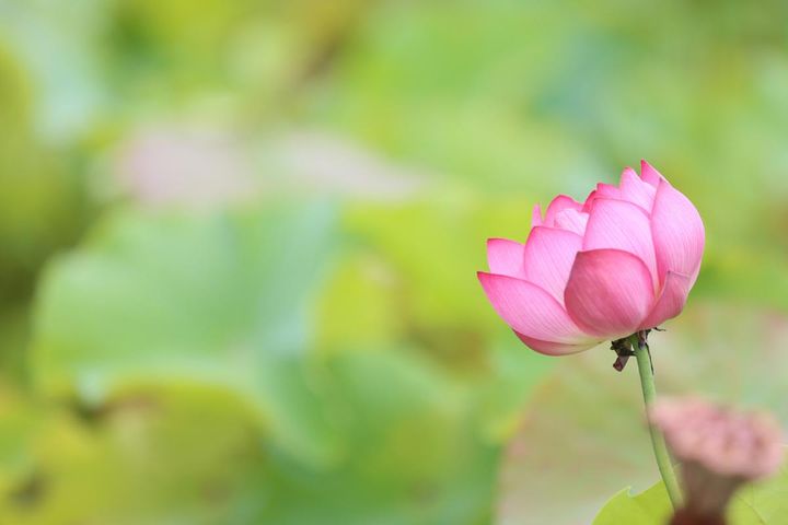 仏教から見た「春分の日」