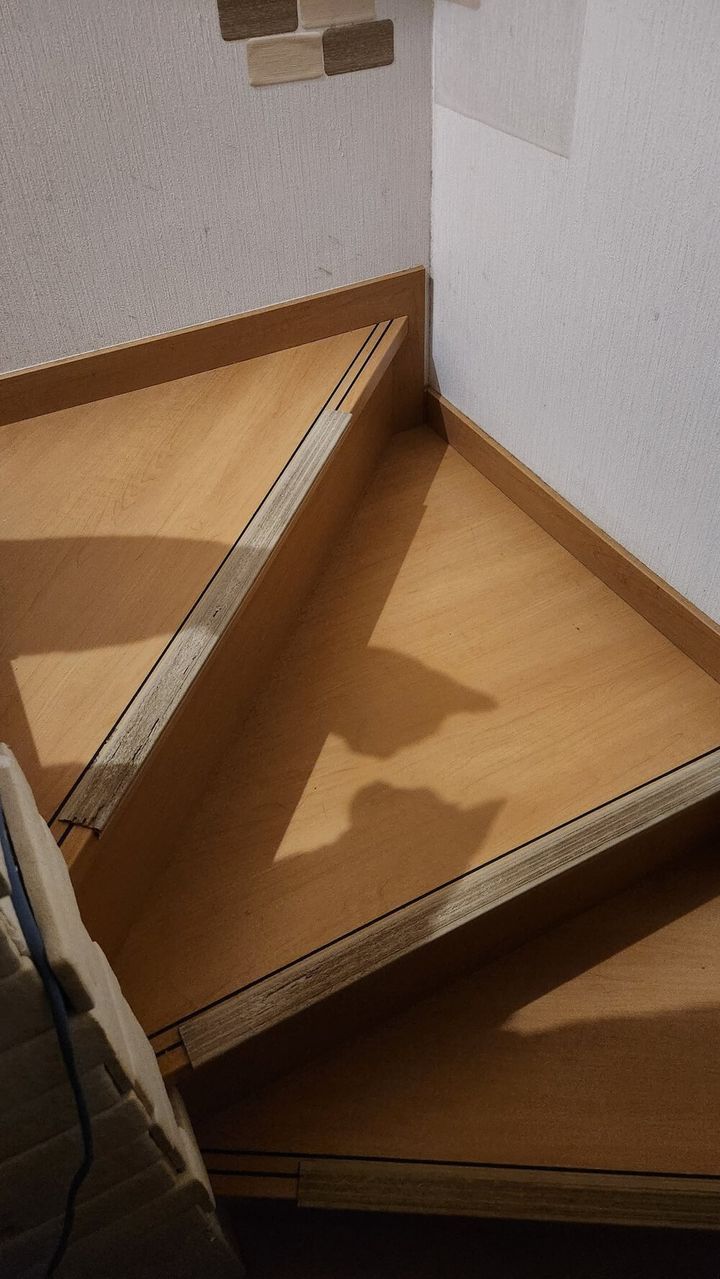 階段で密談する猫たちのシルエット