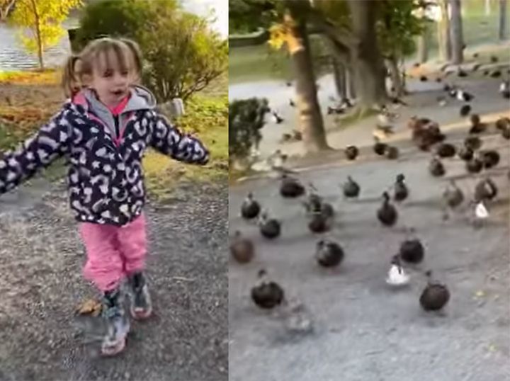 アニメのプリンセスみたい♪ アヒルを操る女の子。