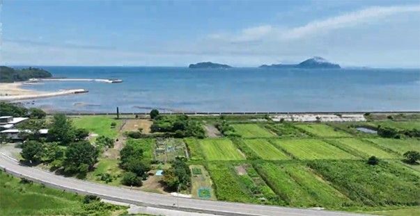 バジル農家の画像