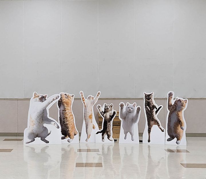 山本正義写真展 フォトスポット