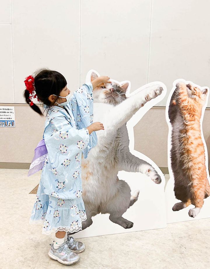 山本正義写真展 フォトスポットで写真を撮る女の子