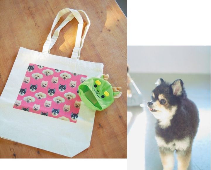 観月ありさ 3匹の愛犬との時間が癒し