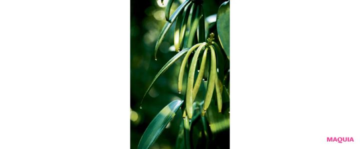 「保湿」の最前線を知って、もっと美肌に！ アップデートのポイントを小林ひろ美さんが解説 _5