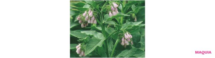 「保湿」の最前線を知って、もっと美肌に！ アップデートのポイントを小林ひろ美さんが解説 _9