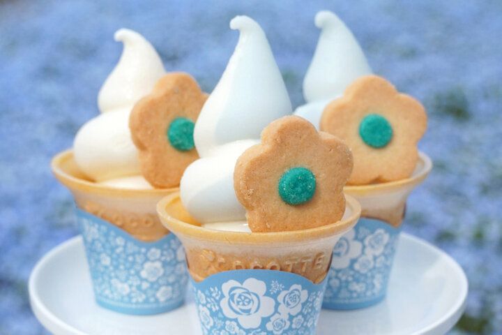 もう少しで見頃を迎える一面ブルーのネモフィラ畑♪「国営ひたち海浜公園」で楽しむ春の花さんぽ