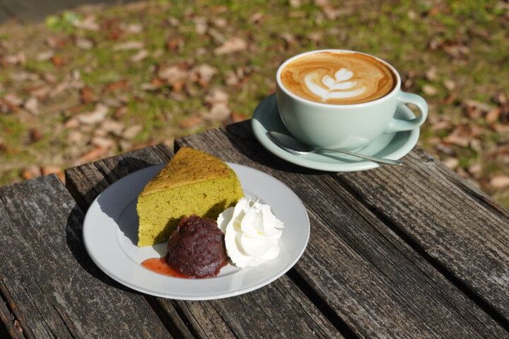 もう少しで見頃を迎える一面ブルーのネモフィラ畑♪「国営ひたち海浜公園」で楽しむ春の花さんぽ