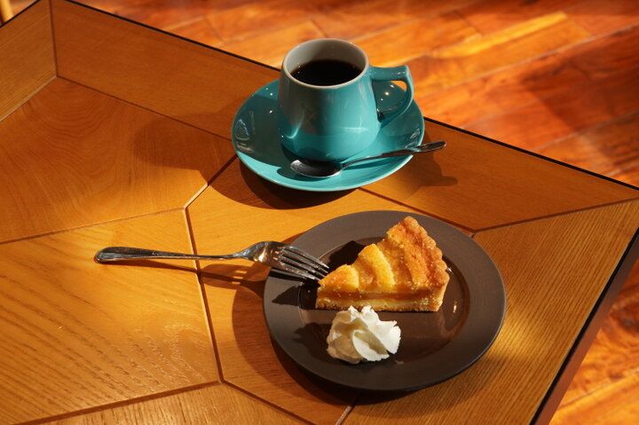 もう少しで見頃を迎える一面ブルーのネモフィラ畑♪「国営ひたち海浜公園」で楽しむ春の花さんぽ