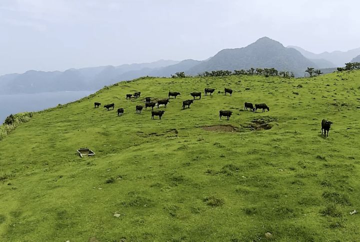 ファミリーキャンプに超おすすめ！各サイトに電源と水場を完備した高規格キャンプ場