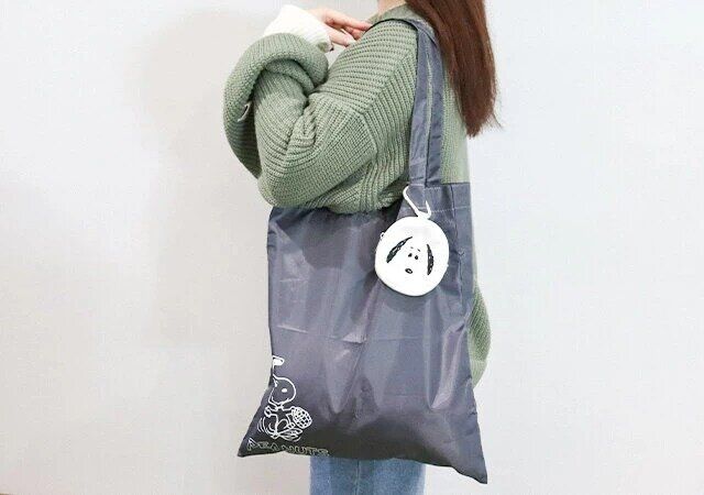 2024年3月おすすめの宝島社雑誌付録ランキング