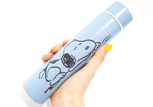 2024年3月おすすめの宝島社雑誌付録ランキング