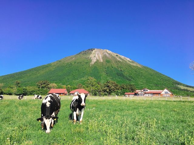 そんな「白バラ牛乳」は、近年“高品質ミルク”として話題になりました。理由には、以下のような品質、管理体制の高さが挙げられているそうです。