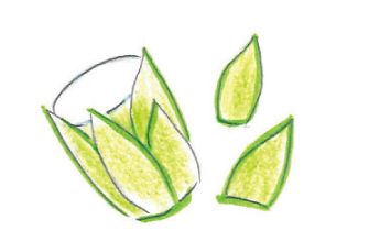 本物の花びらを入れてもキレイ！ 桜吹雪が飛び出す「お花見クラッカー」【最新号からちょっと見せ】の画像5