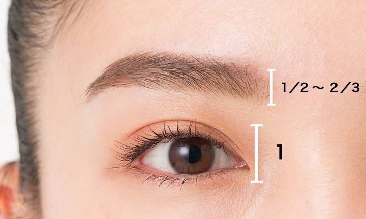 ⾃分に合った眉毛の太さ