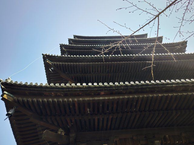 東寺 五重塔