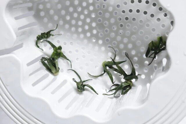 ダイソーの抗菌排水口キャッチのキッチン用にトマトのヘタを流す