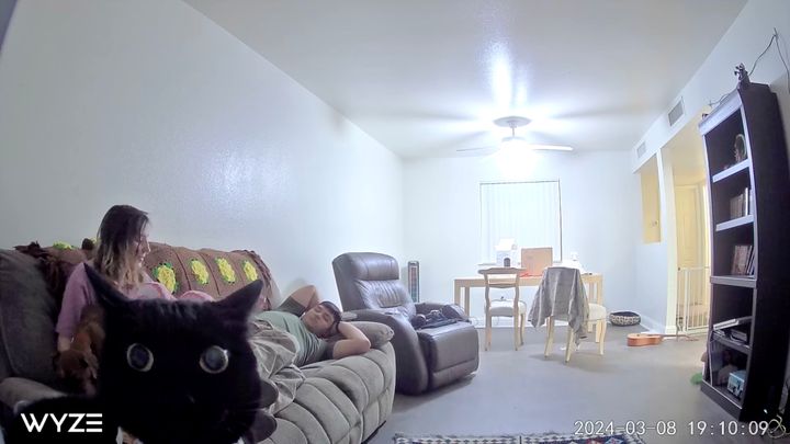 ガン見しすぎにもほどがある猫、イカ耳のままほとんど動かず