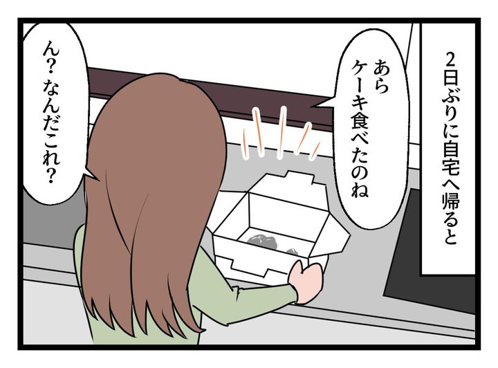 画像2: 「私がいない間に、誰か来た？」