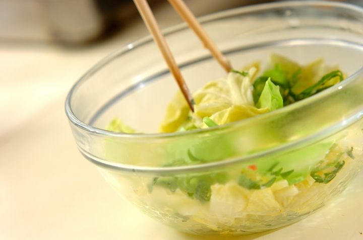春キャベツの梅マヨ和えの作り方2