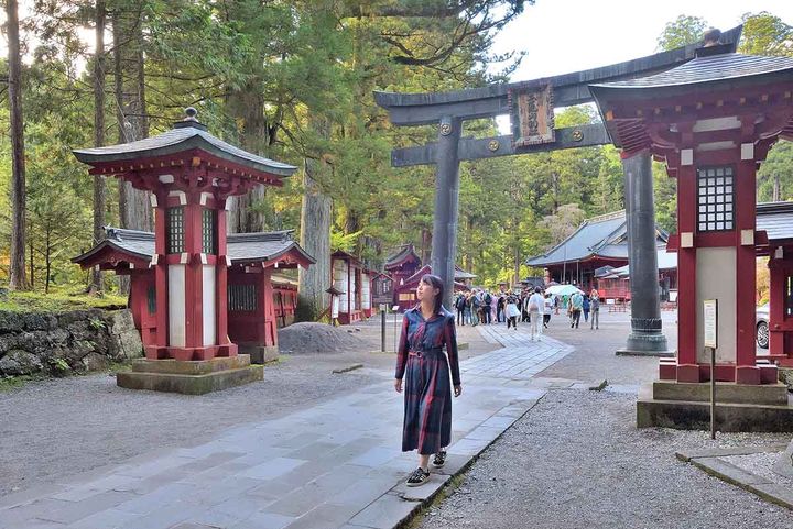 日光東照宮へと続く参道・上新道（かみしんみち）側に立つ銅鳥居